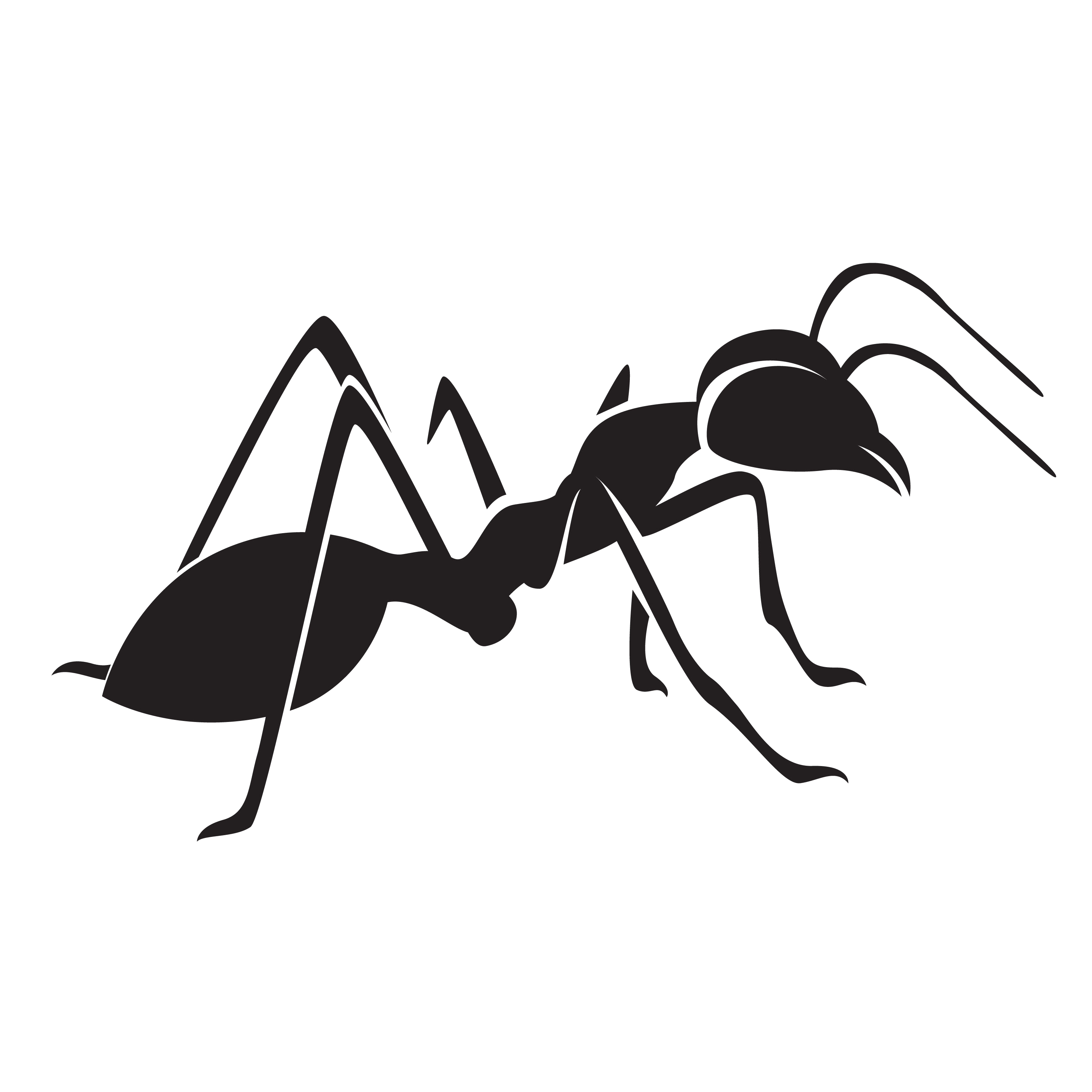 Ant Icon