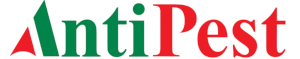 main-logo